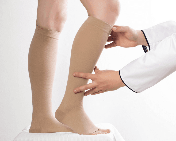 Imagem ilustrativa sobre Circulação Sanguínea